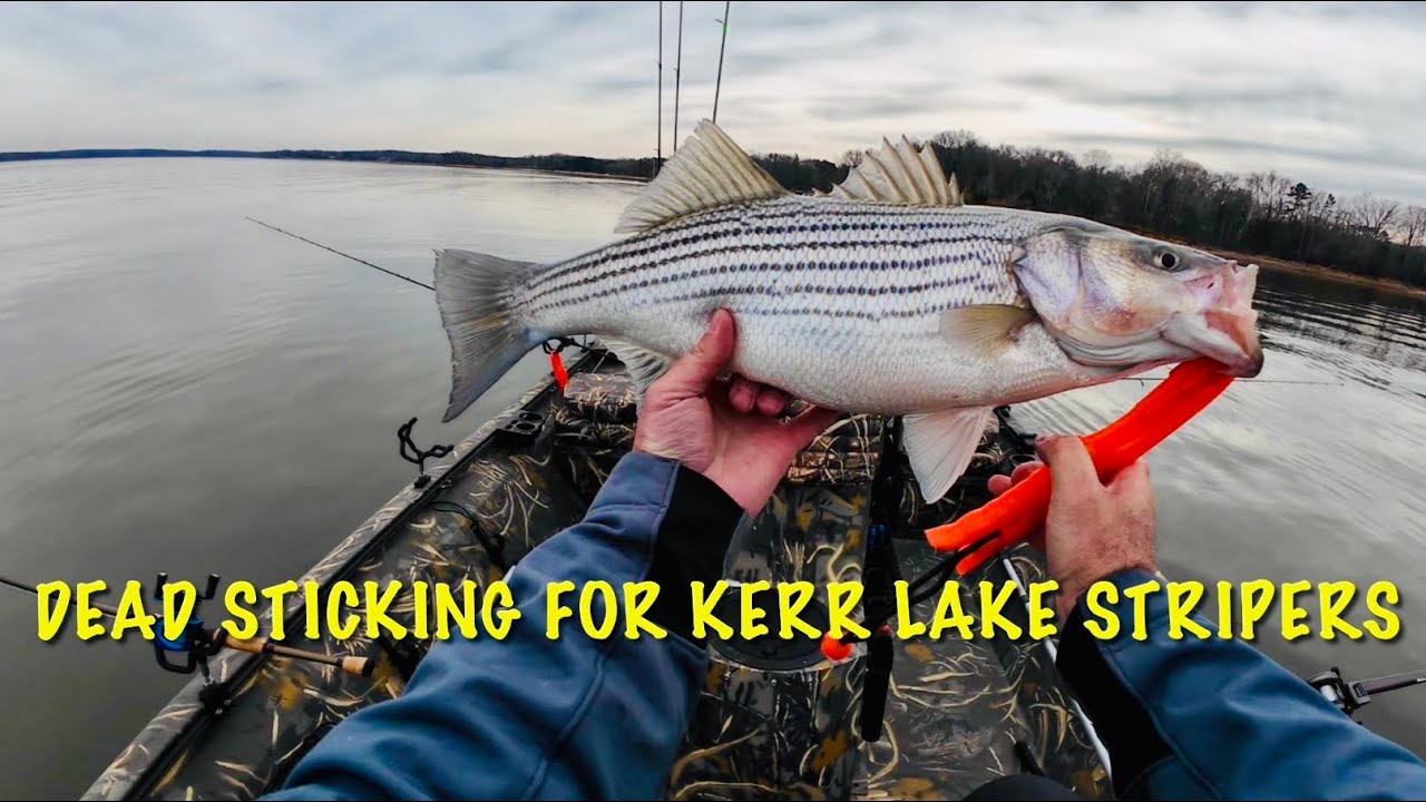 Kerr Lake January STRIPERS and Homemade Fish Splasher