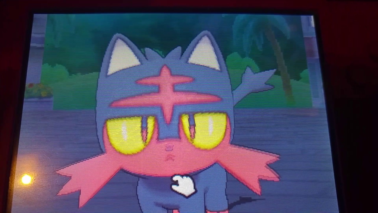 Pokémon Refresh: All Alola starters + sleeping