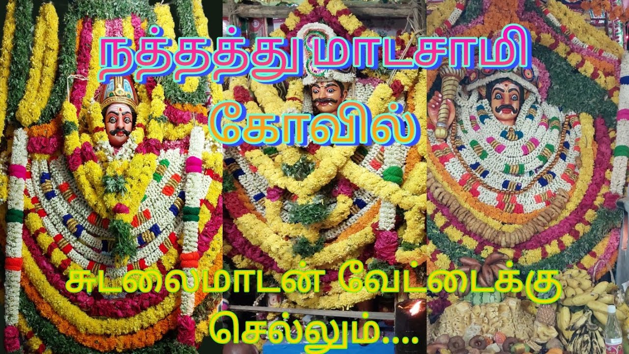 நத்தத்து மாடசாமி கோவில்...சுடலை வேட்டைக்கு செல்லும் காட்சி....கடம்பன்குளம்