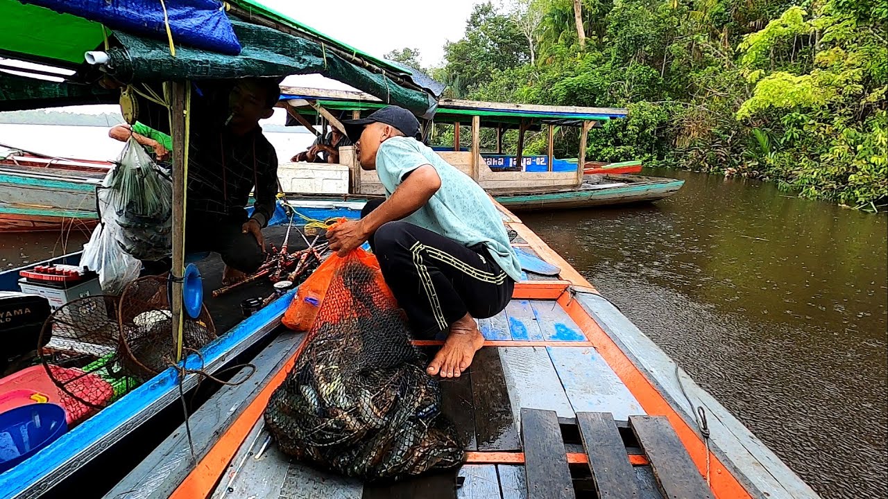 Tak sengaja ketemu sultan dari pontianak borong semua udang hasil mancing kami di sungai.