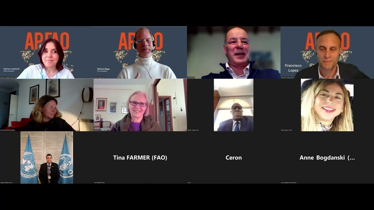 Pension Seminar APinFAO 4 May 2023