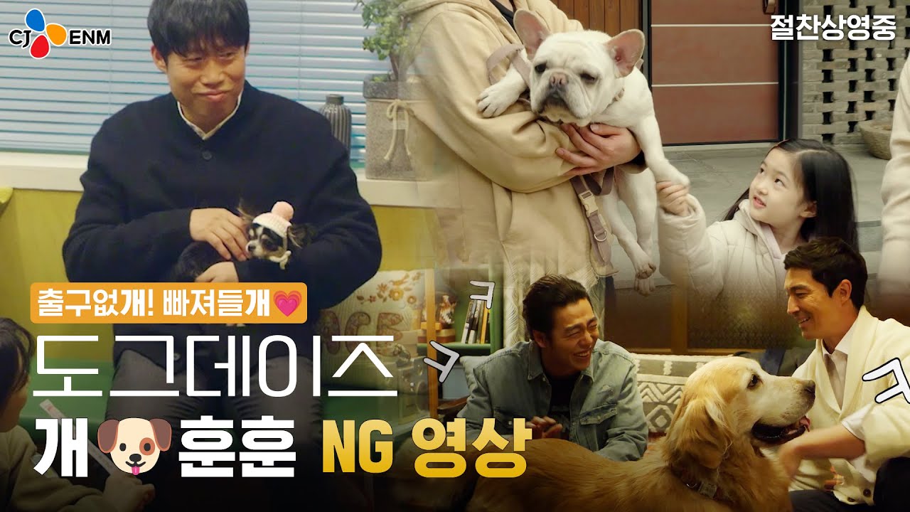 [도그데이즈] 출구 없개.. 빠져들개🙏 개훈훈 NG 영상