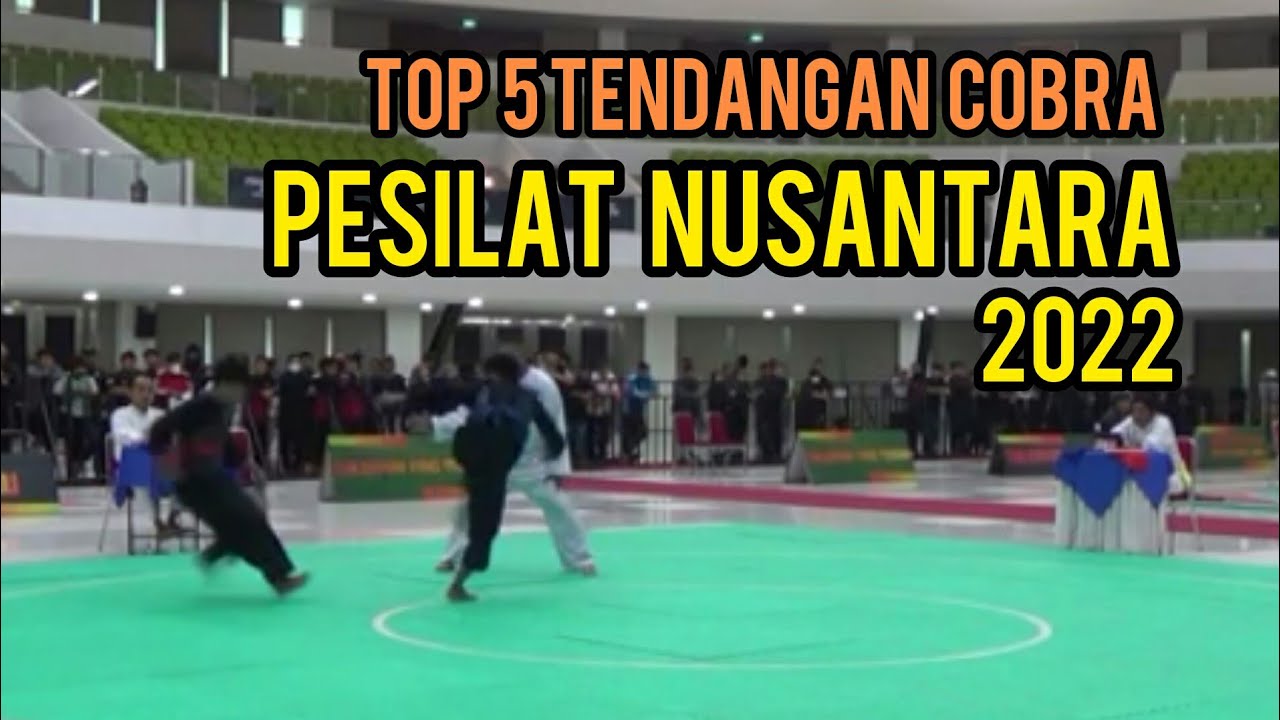 Top 5 Tendangan A Cobra Menyengat_Pesilat Nusantar//Kejuaraan Pencak Silat 2022