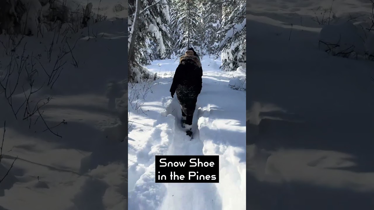 Winter Tour with Tour Glacier in Glacier National Park