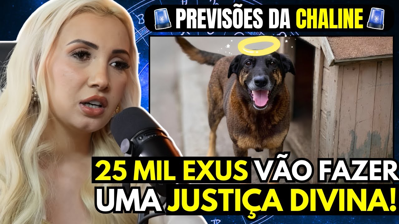 PREVISÕES SEMANAIS DOS VIDENTES: CHALINE GRAZIK FAZ REVELAÇÕES SOBRE O CASO DO CACHORRO ORELHA