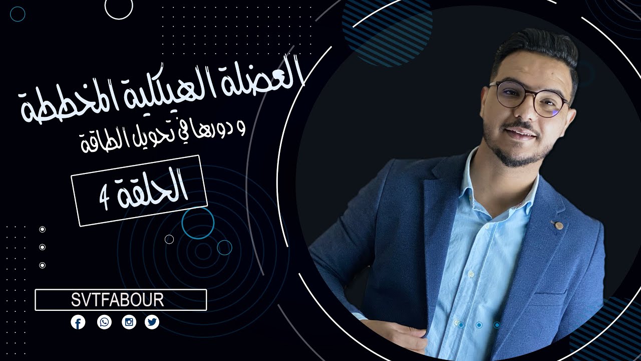 الحلقة4:دور العضلة الهيكلية المخططة في تحويل الطاقة
