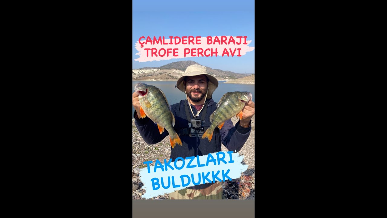 ÇAMLIDERE BARAJI TROFE LEVREK AVI