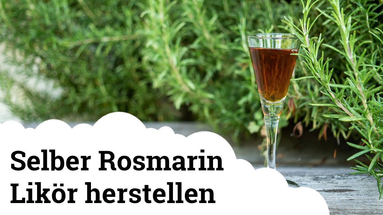 Rosmarinlikör | Eine besonders gute Köstlichkeit zum Selbermachen! 😋🥂