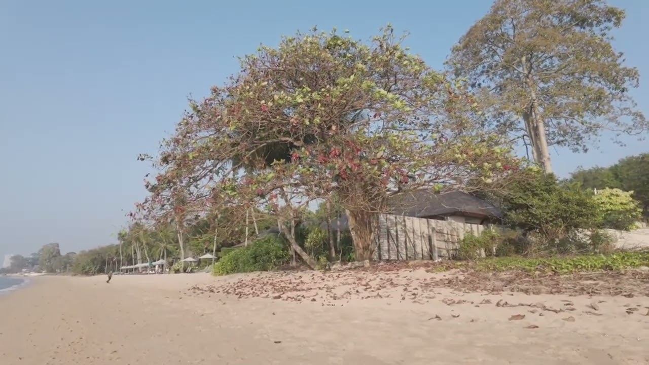 A walk along the beach in Bang Sare, Sattahip
