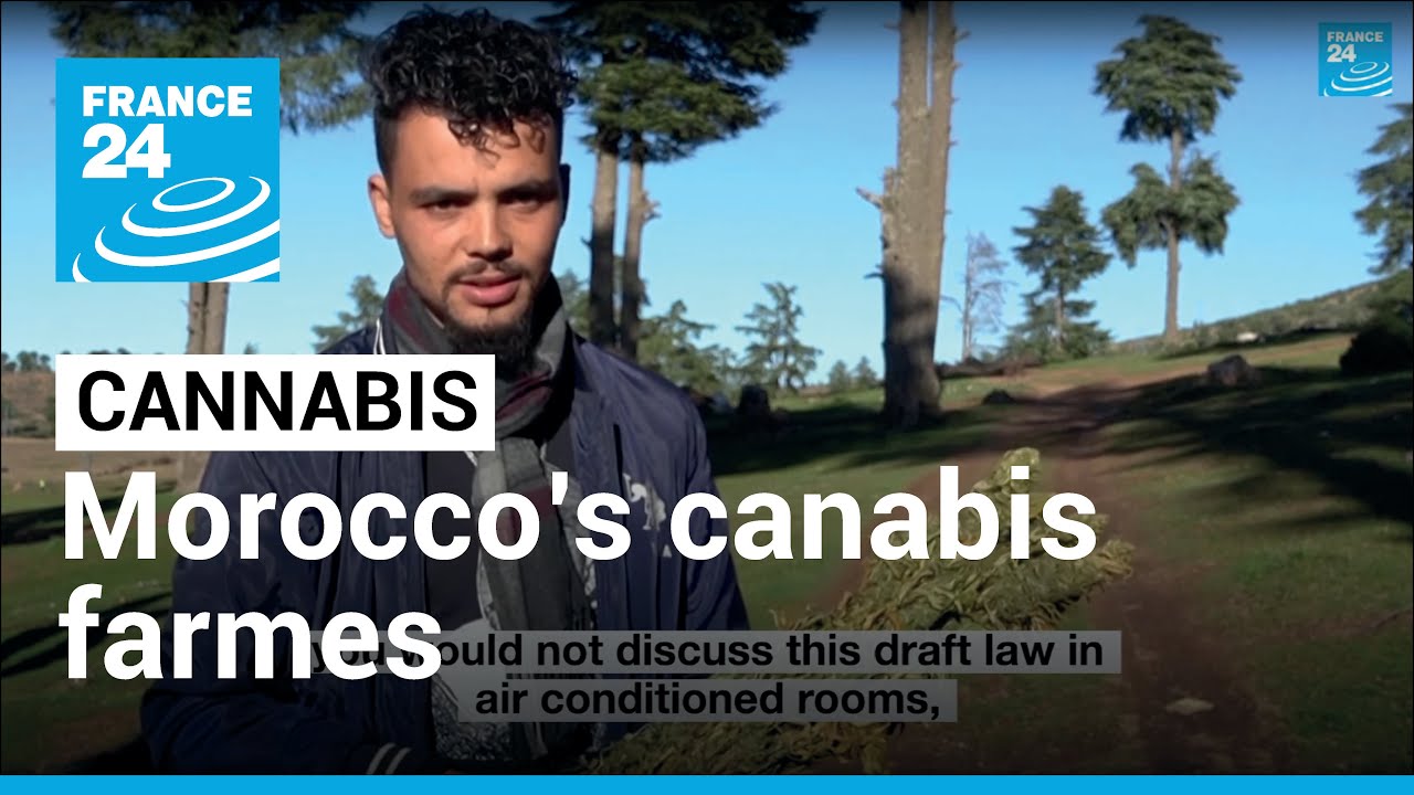 Morocco&rsquo;s cannabis farmers: &lsquo;Poor and living in fear&rsquo; &bull; FRANCE 24 English