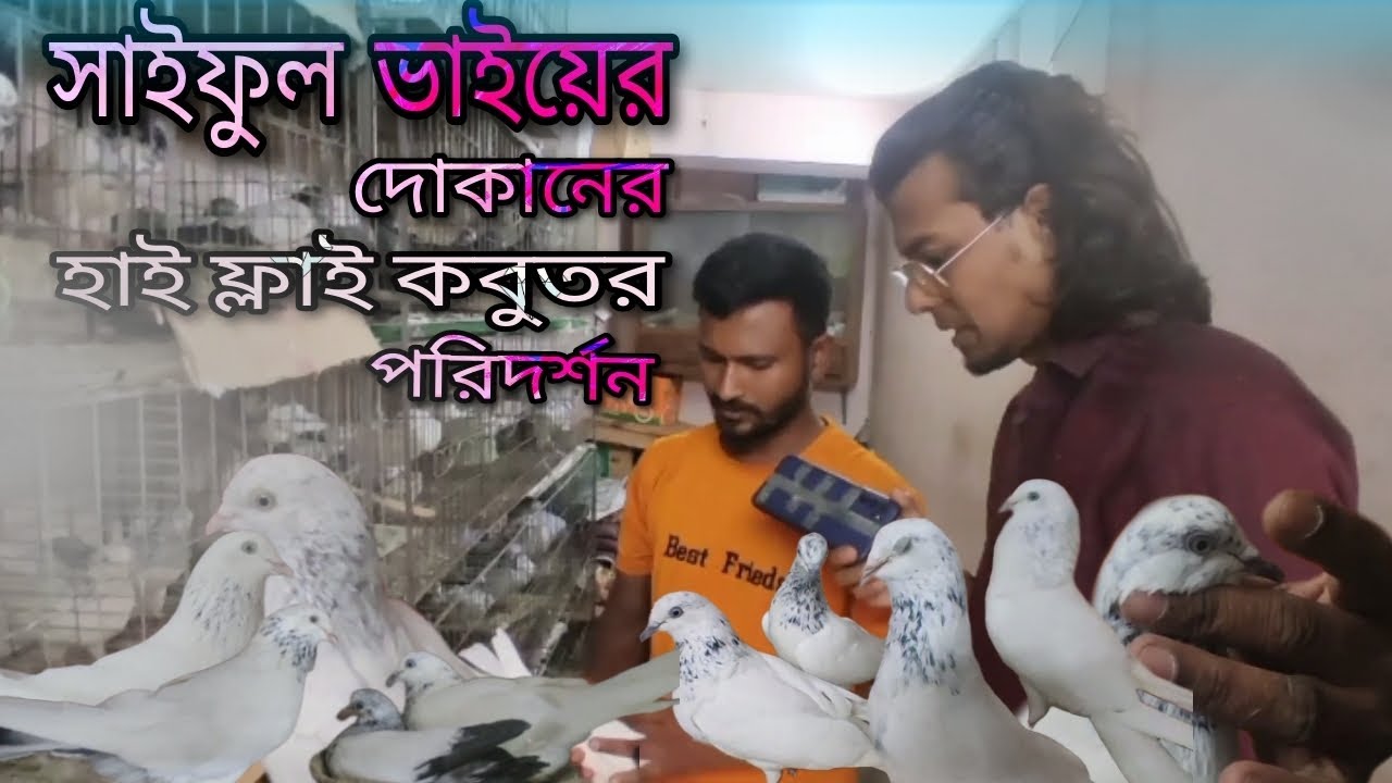 খুলনার বড় বাজারে সাইফুল ভাইয়ের দোকান পরিদর্শন।Khulna Pigeon Market