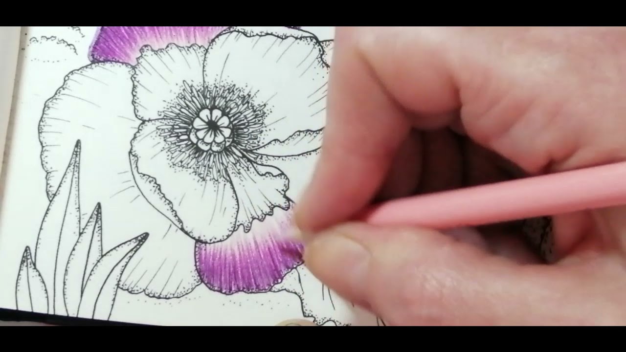 tutoriel fleur hachurage