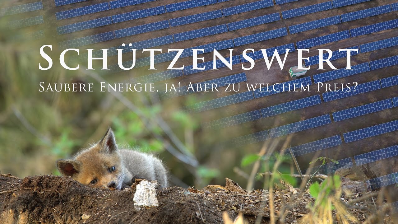 Sch&uuml;tzenswert | Saubere Energie, Ja! Aber zu welchem Preis?