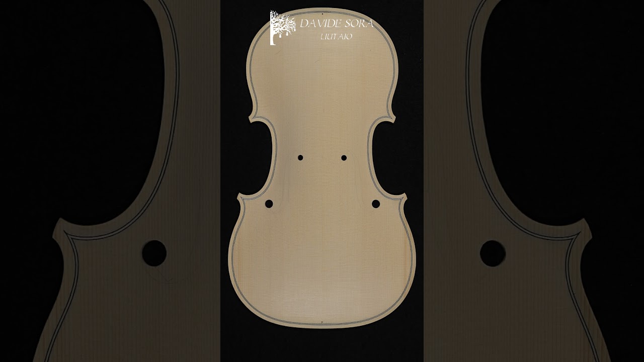 Violin sound holes (F-holes) #shorts
