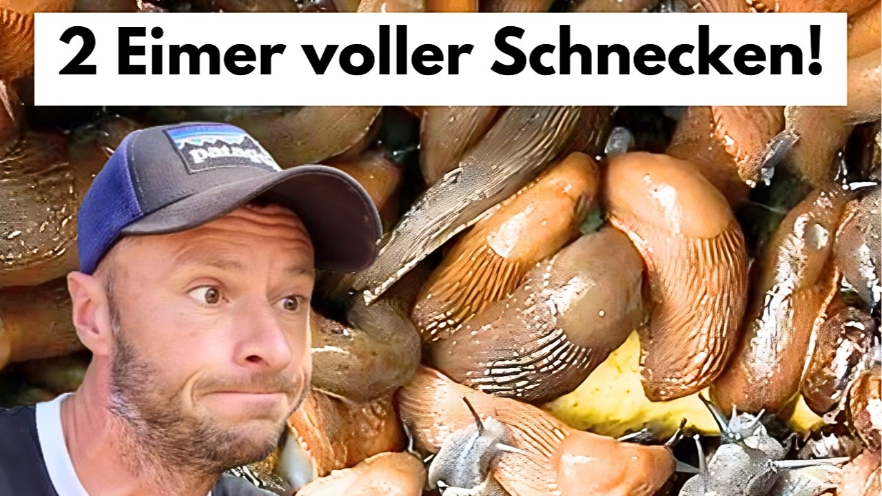 Schnecken töten ohne Qual - Diese Methode muss man als Gärtner kennen!