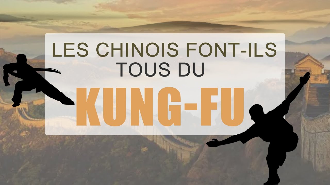 Les Chinois font-ils tous du kung-fu ?    在中国人人都会功夫？