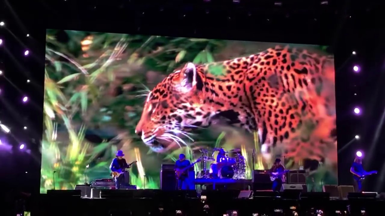 JAGUARES - DIME JAGUAR/ NUNCA TE DOBLARAS
