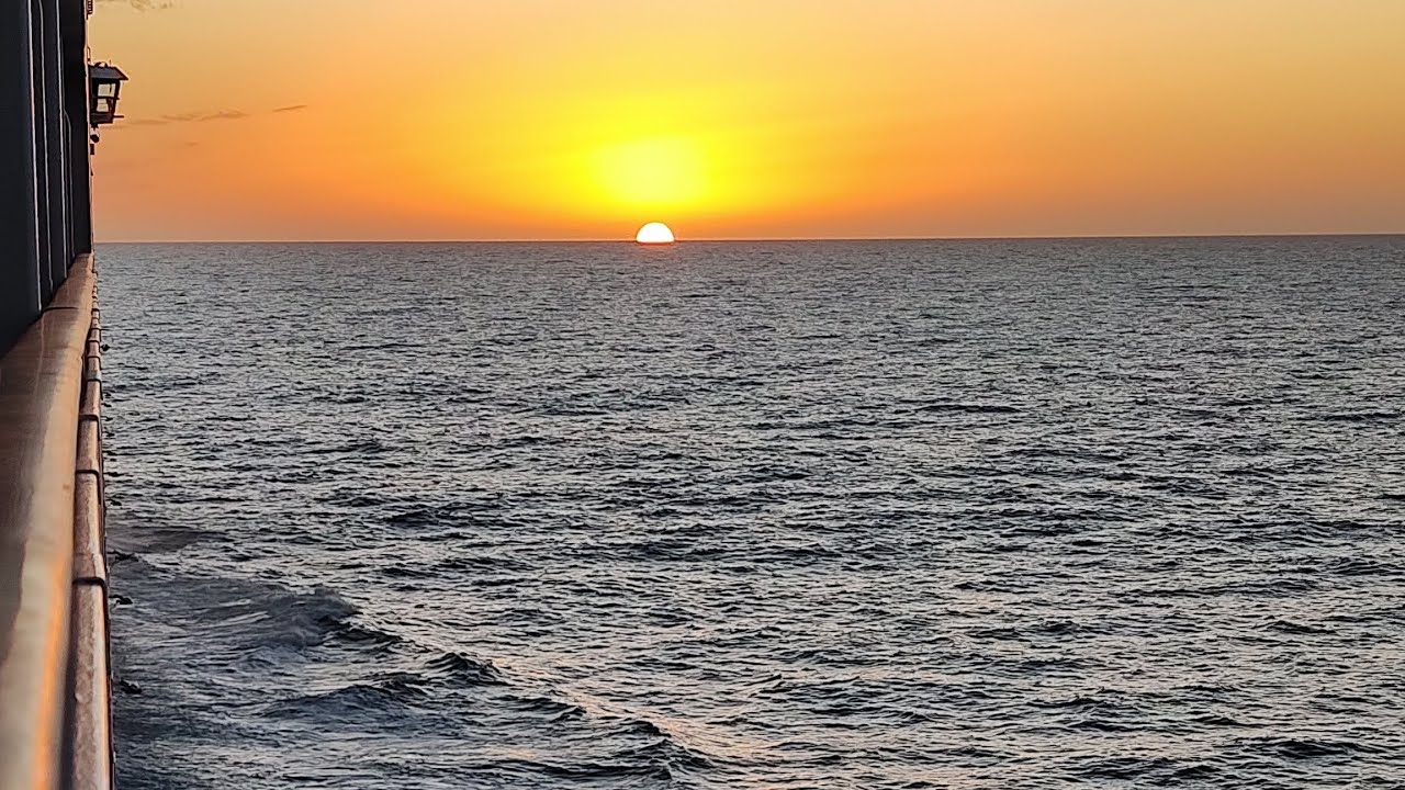 MSC PASO A PASO EMBARQUE 26/2/23