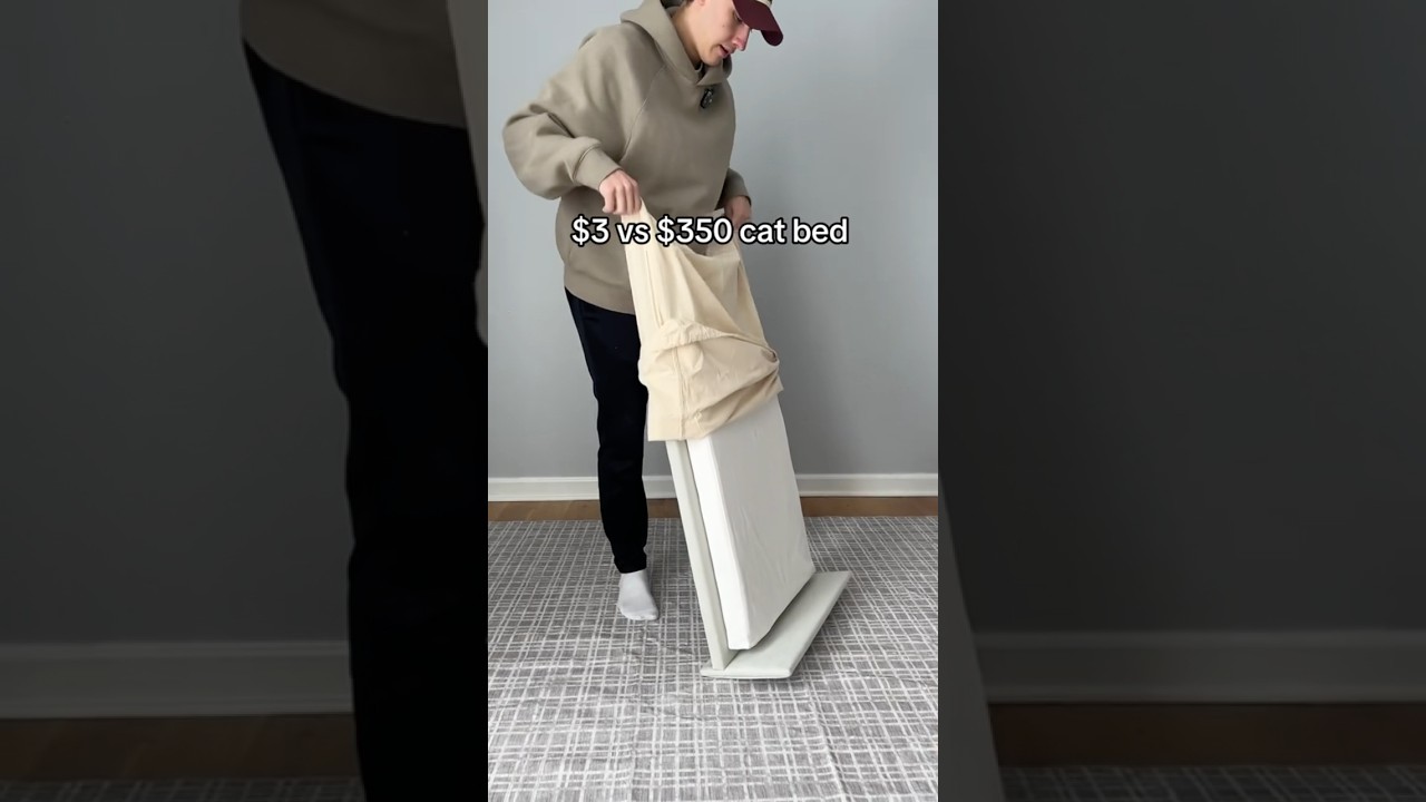 cheapest vs most expensive cat bed i could find 🤯