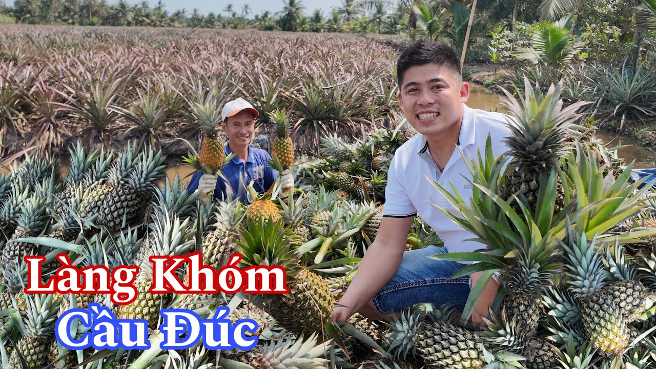 Chợ Chồm Hổm Đẹp Nhất Miền Tây