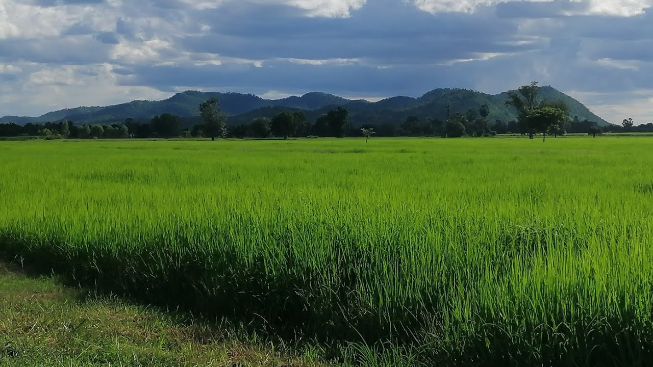 ขายที่ดินบรรยากาศ​วิว​ภูเขา​ 22ไร่​/ไร่​ละ​2.5แสน​ ต.บ้านโข้ง​ อ.อู่ทอง​ จ.สุพรรณบุรี​