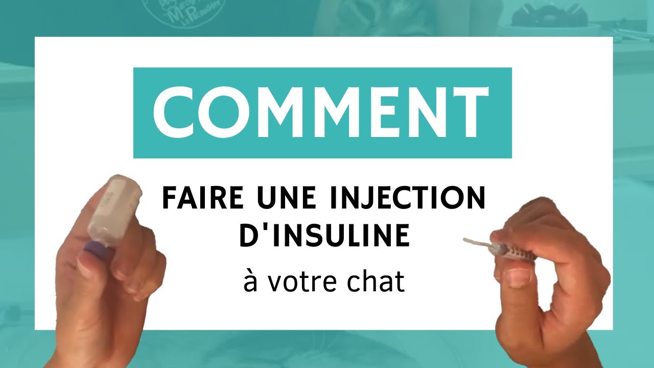 Comment faire une injection d'insuline à votre chat
