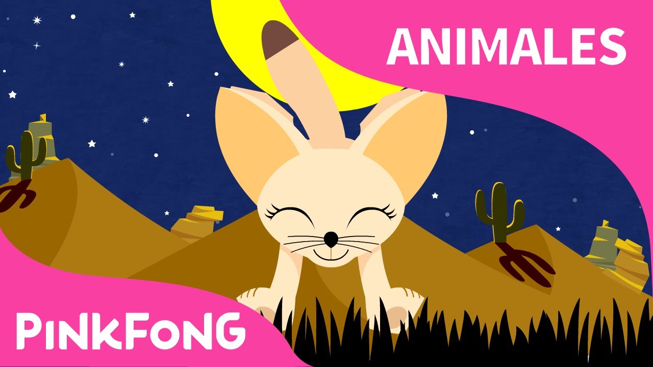 Zorro del Desierto | Zorro Feneco | Animales | PINKFONG Canciones Infantiles