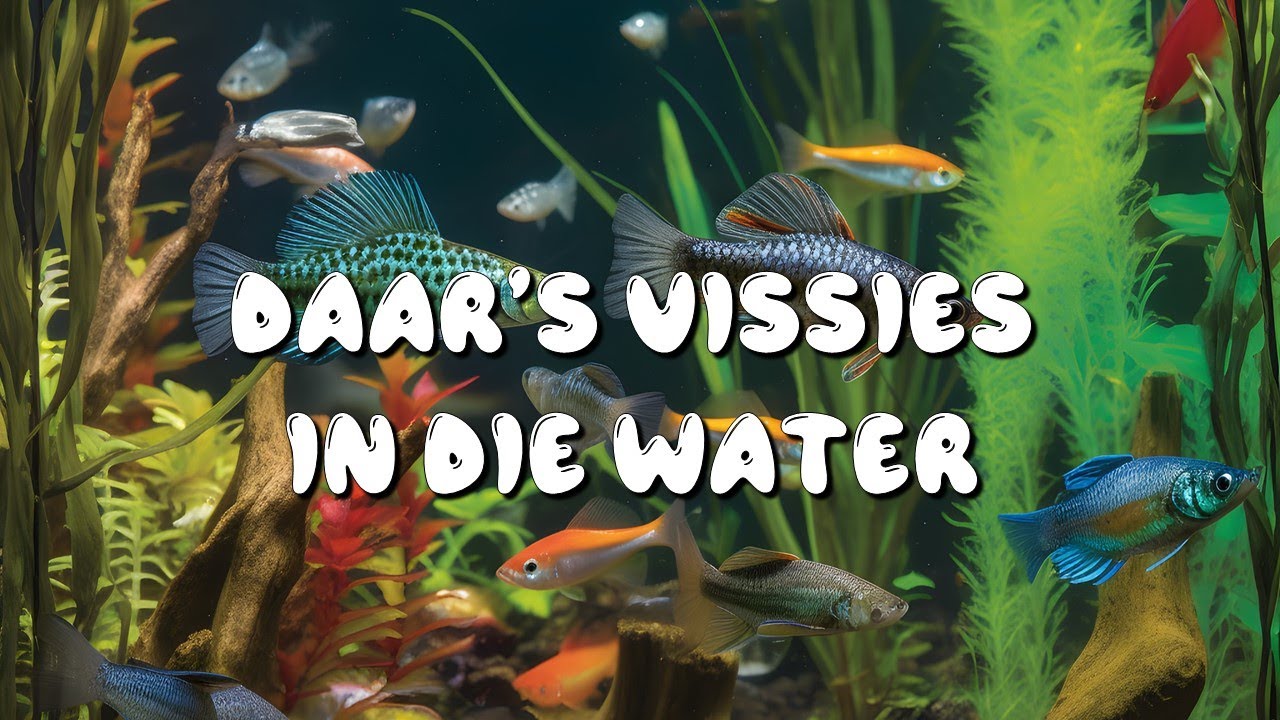 Daar's vissies in die water
