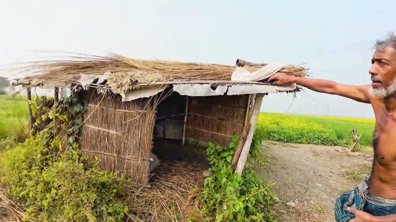 দূর্গম চরে একলা জীবন যাপন | Rural life in village bd | Chor of Bangladesh