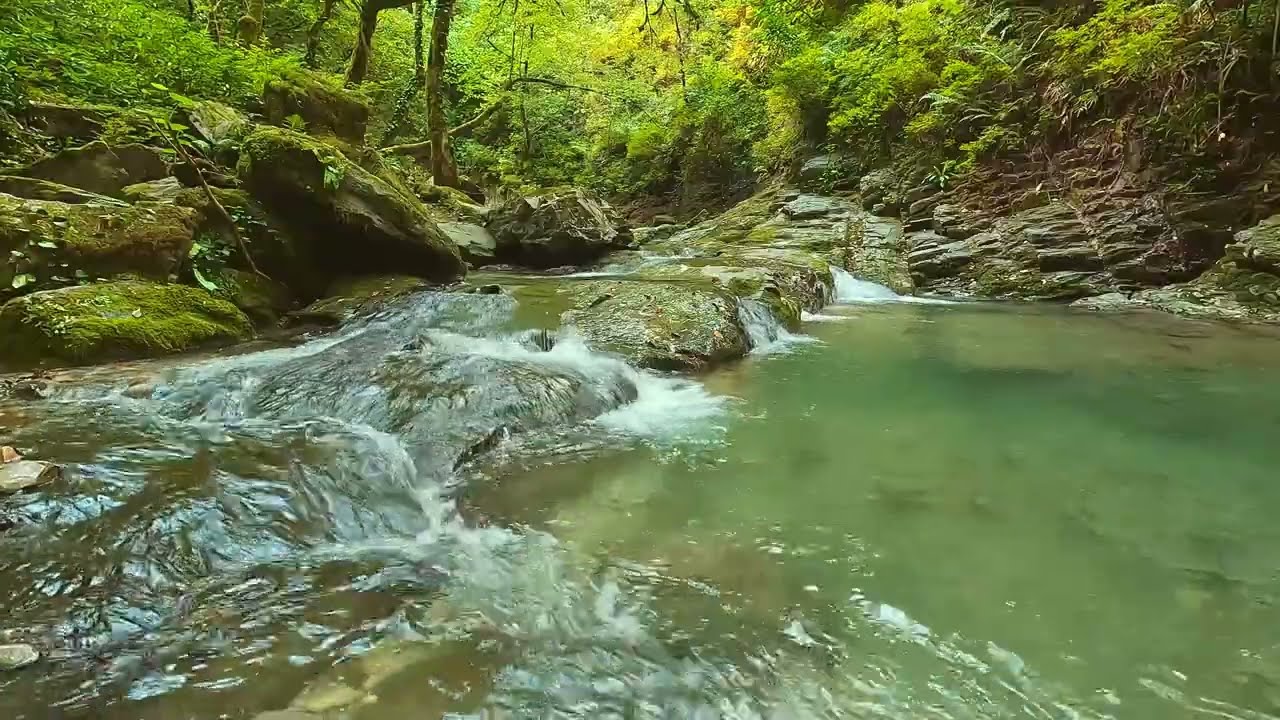 Healing Music for Inner Peace 🌿 Eliminate Stress, Anxiety and Depression, Heal Mind and Body