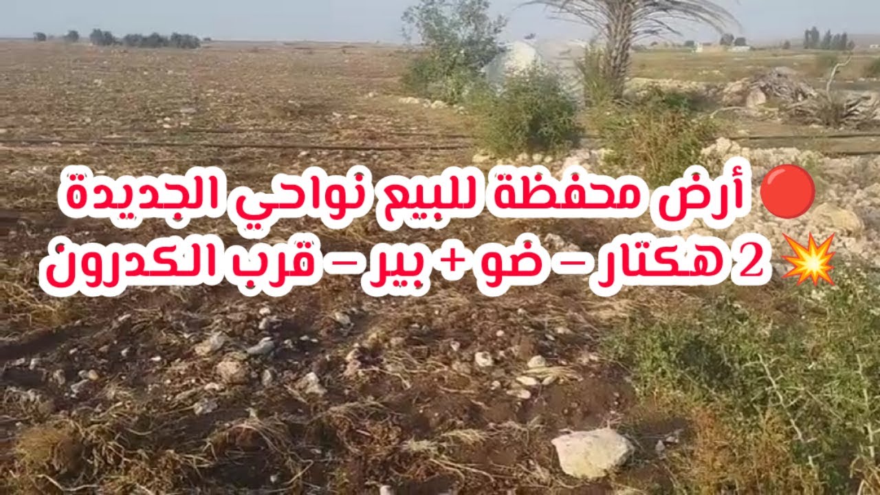🚨 أرض محفظة للبيع بثمن مناسب نواحي الجديدة | 2 هكتار |ضو وبير وطريق مزيانة |فرصة للاستثمار أو السكن
