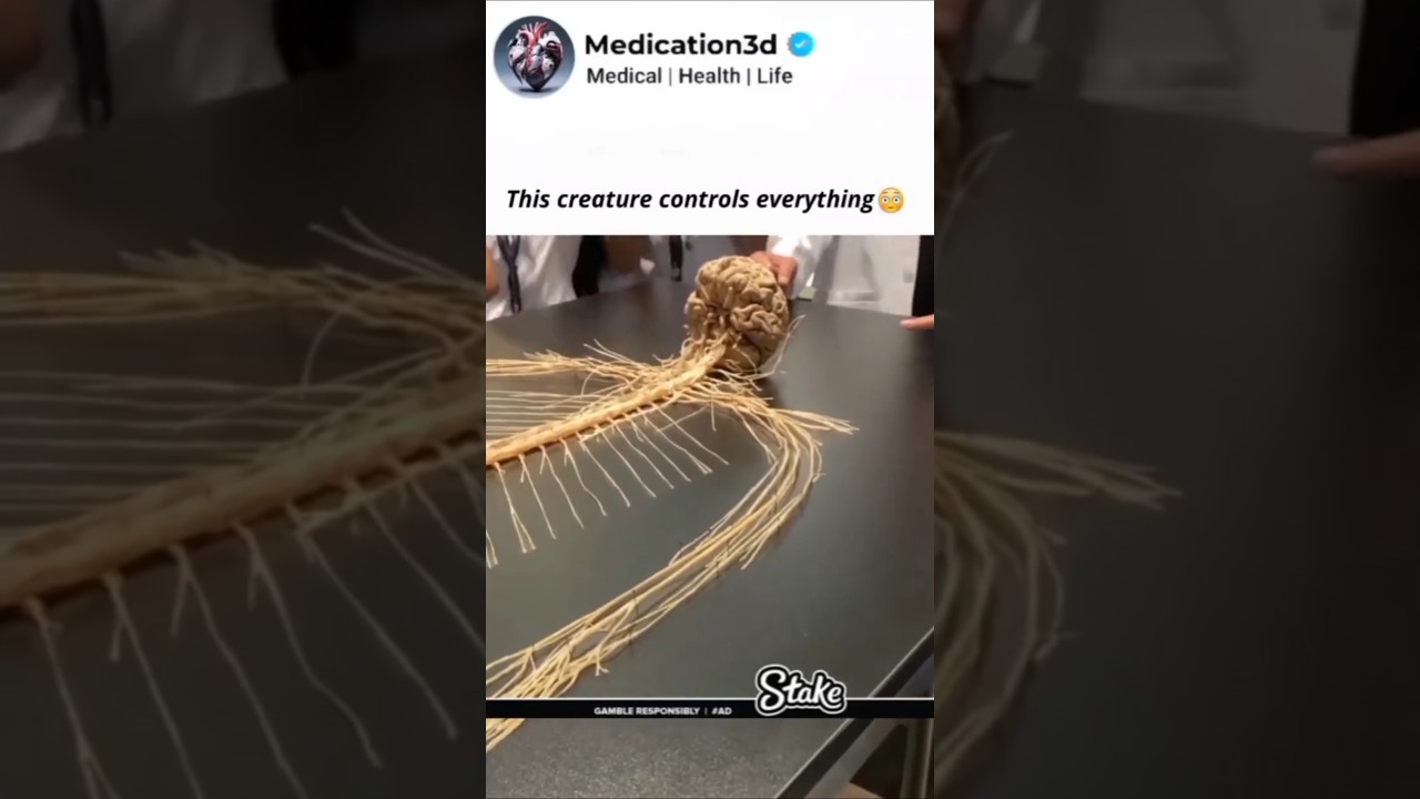 This Creature Control Everything in Human Body #shorts #mystery #knowledge