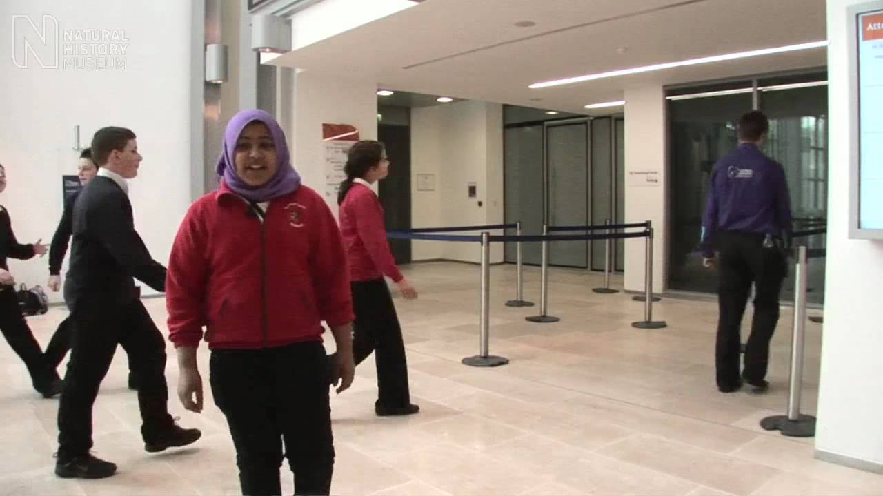 Planning a School Visit | Natural History Museum