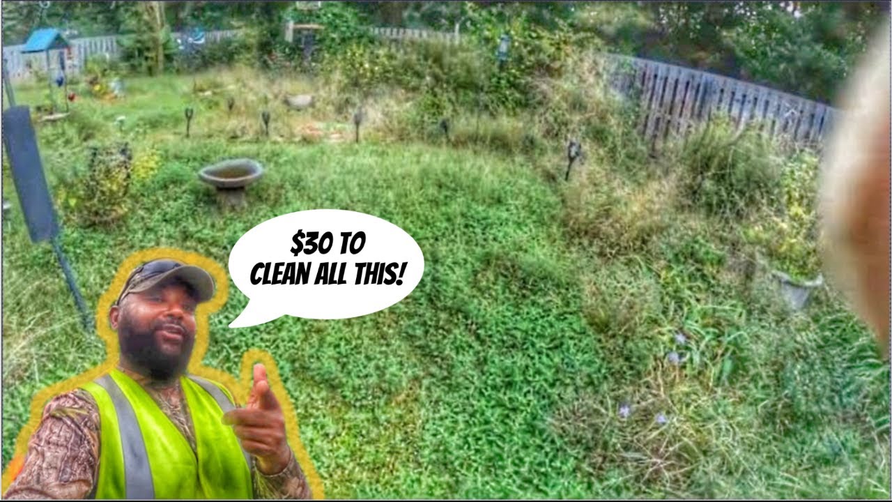 I charged $30 to clean this overgrown backyard and $30 for the front