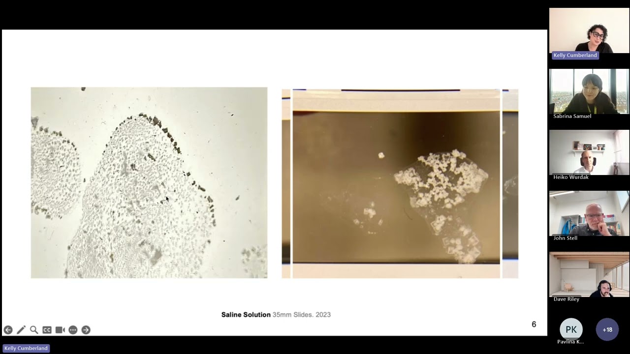 Insight Series: An Art-Science Dialogue
