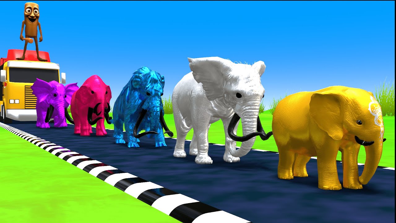Paint Animals With Mammals and Elephanths With Tung Tung Tung Sahur Size Comparison Game