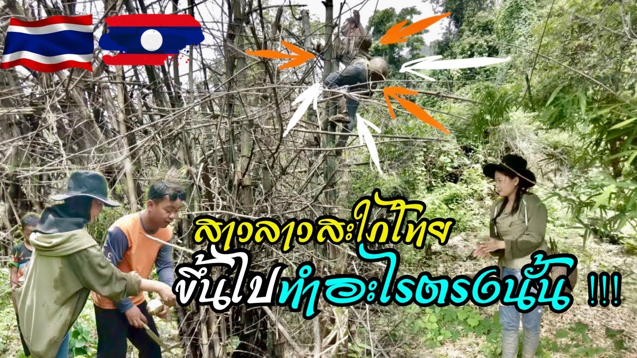 หาอยู่หากินตามวิถีสาวลาวบ้านป่า | วิชาเอาตัวรอด #น้องคำผาง #สาวลาว #laos