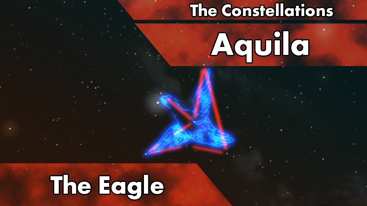 The Constellations - Aquila