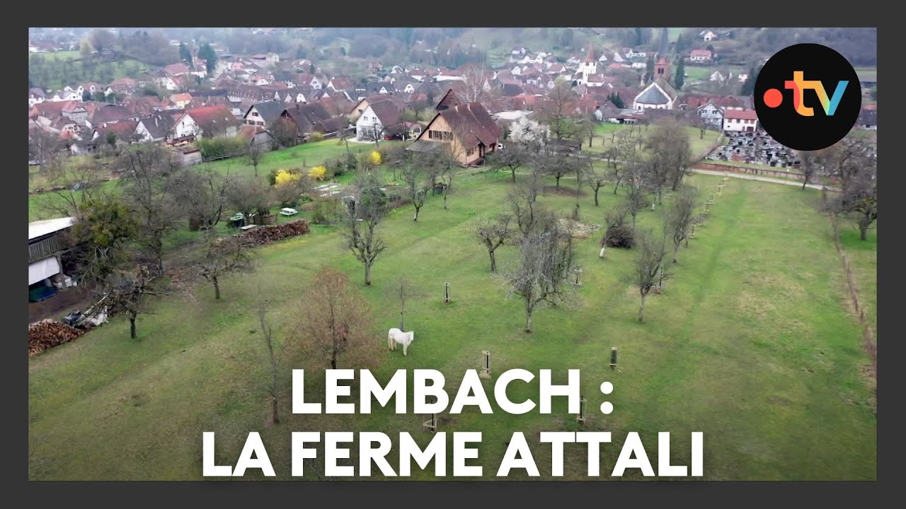 Un lieu, des histoires à Lembach : la ferme Attali - Episode 2/4