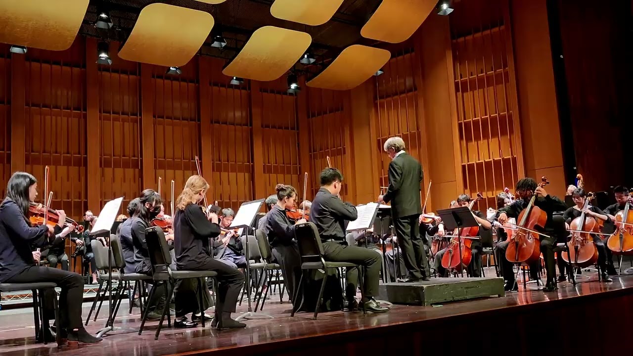 Brahms Symphony No. 3 Mvt 4