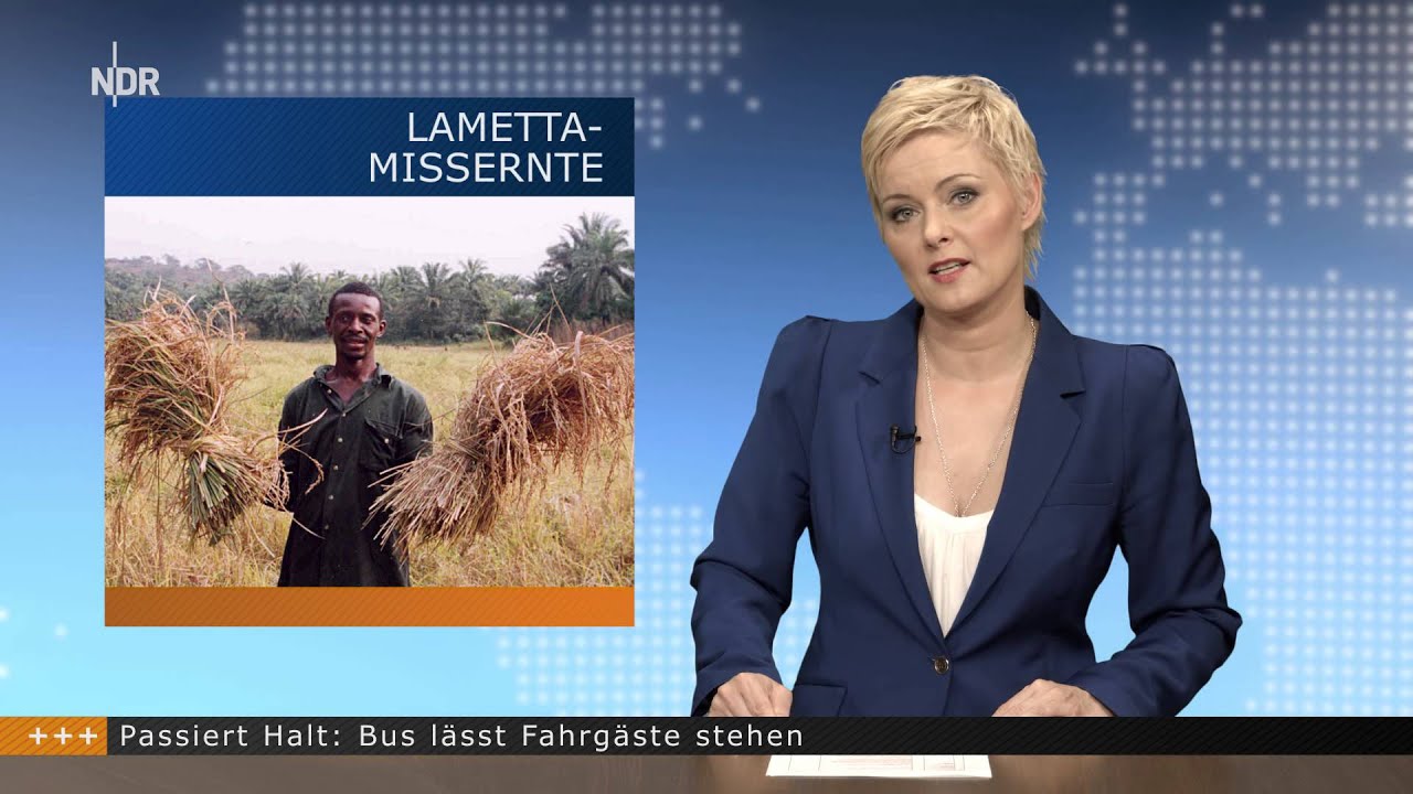 Lametta-Missernte bedroht Weihnachtsfest [Postillon24]