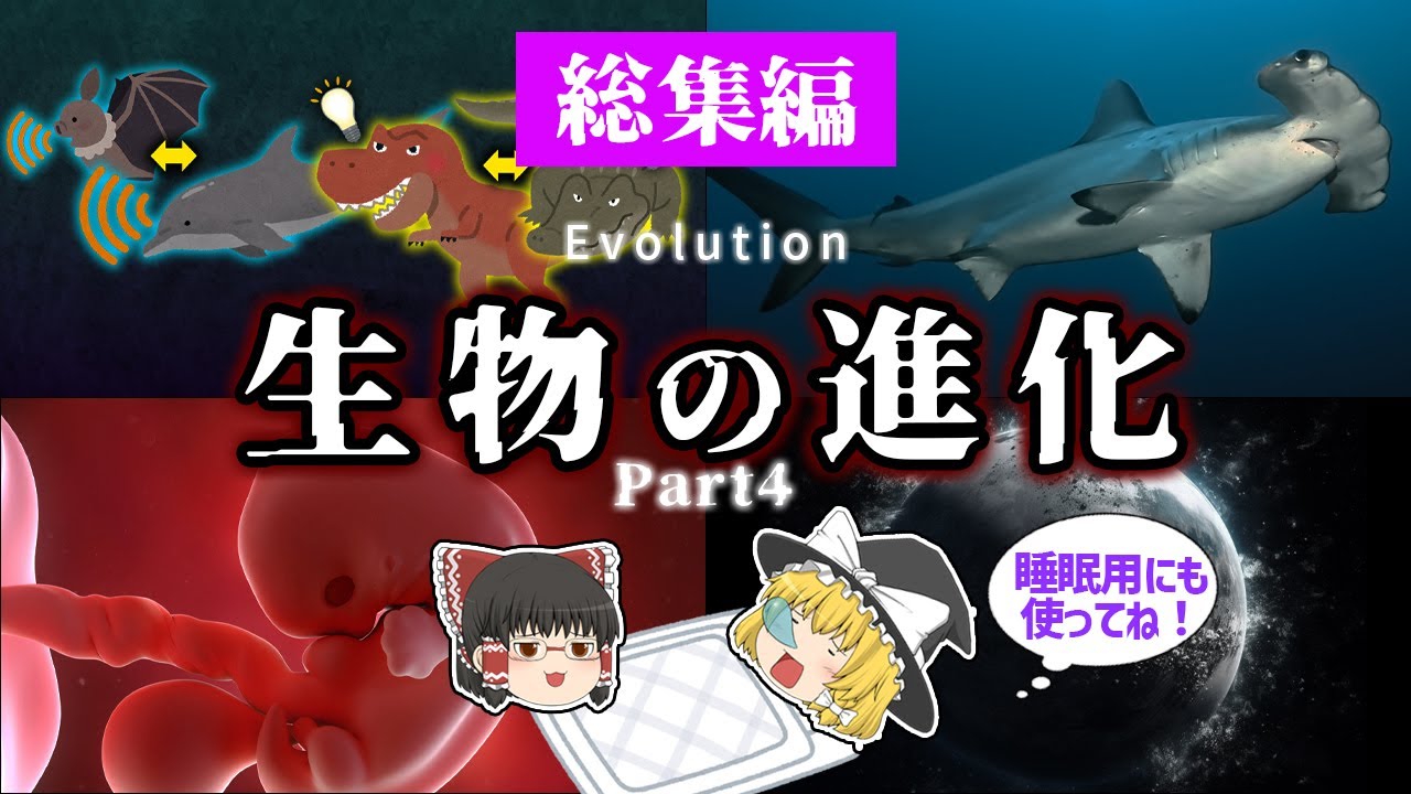 【睡眠用・ゆっくり解説】生物の進化４　シュモクザメ/収斂進化/進化の再現など【途中広告なし】