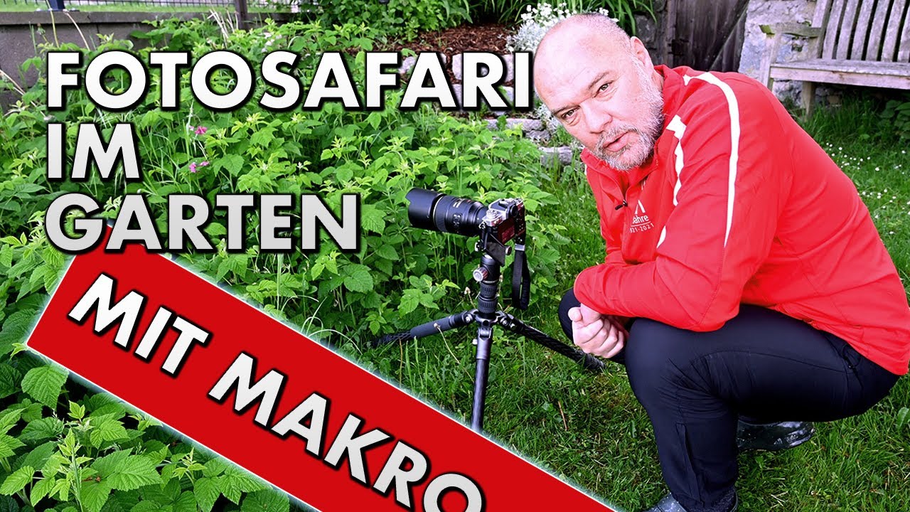 MAKROFOTOGRAFIE im Garten | INSEKTEN fotografiert man am MORGEN