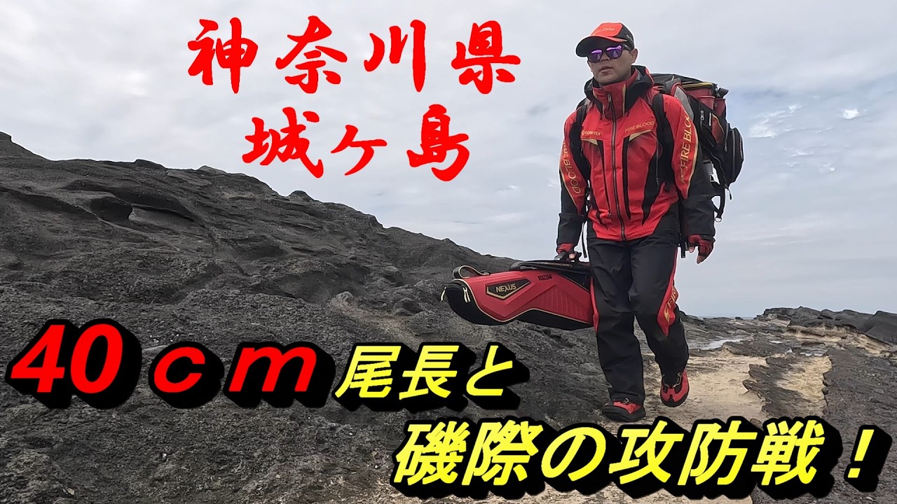 【４月中旬・神奈川県城ヶ島】四畳半エリアで40ｃｍメジナ出ました！