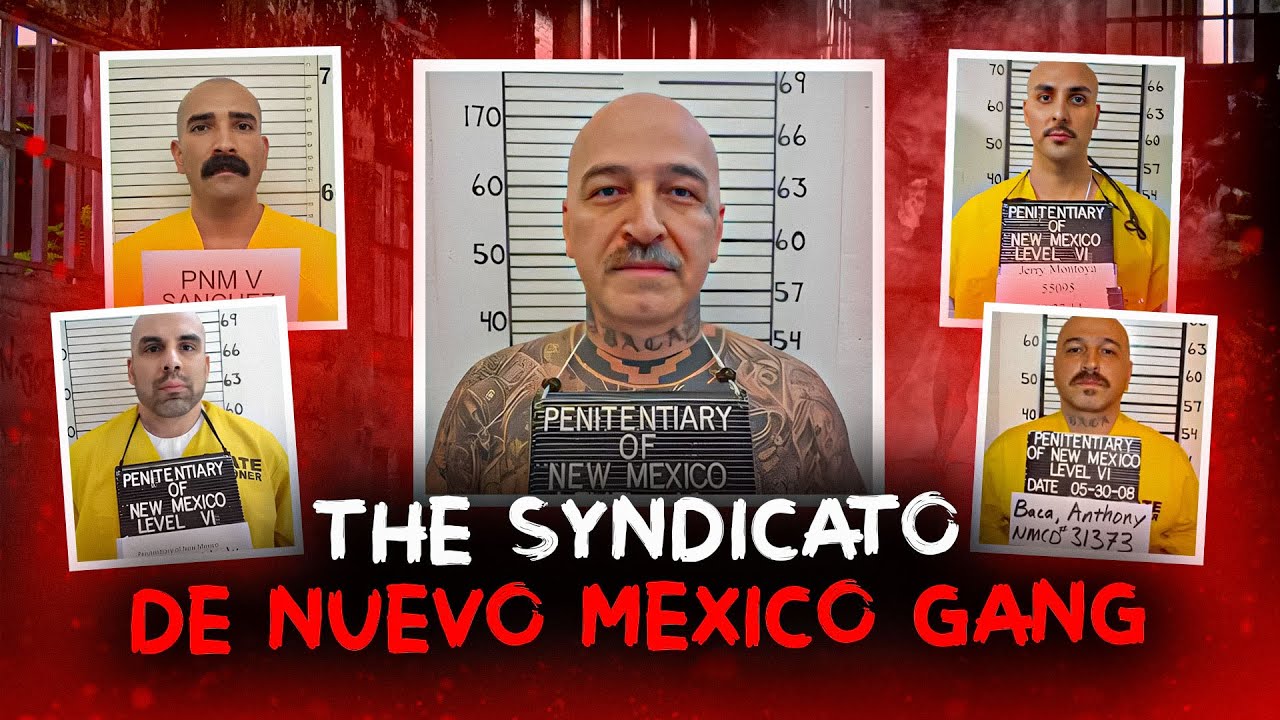 Падение банды Syndicato De Nuevo Mexico