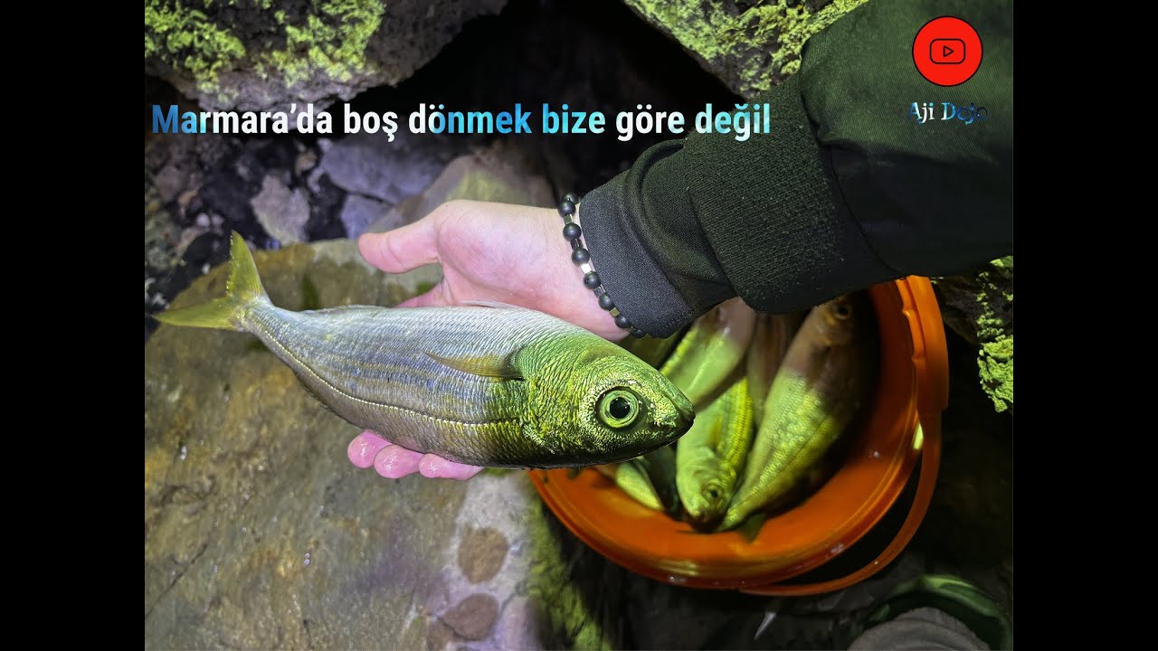 YASAK MERA EFSANE BALIK AVLADIK:)
