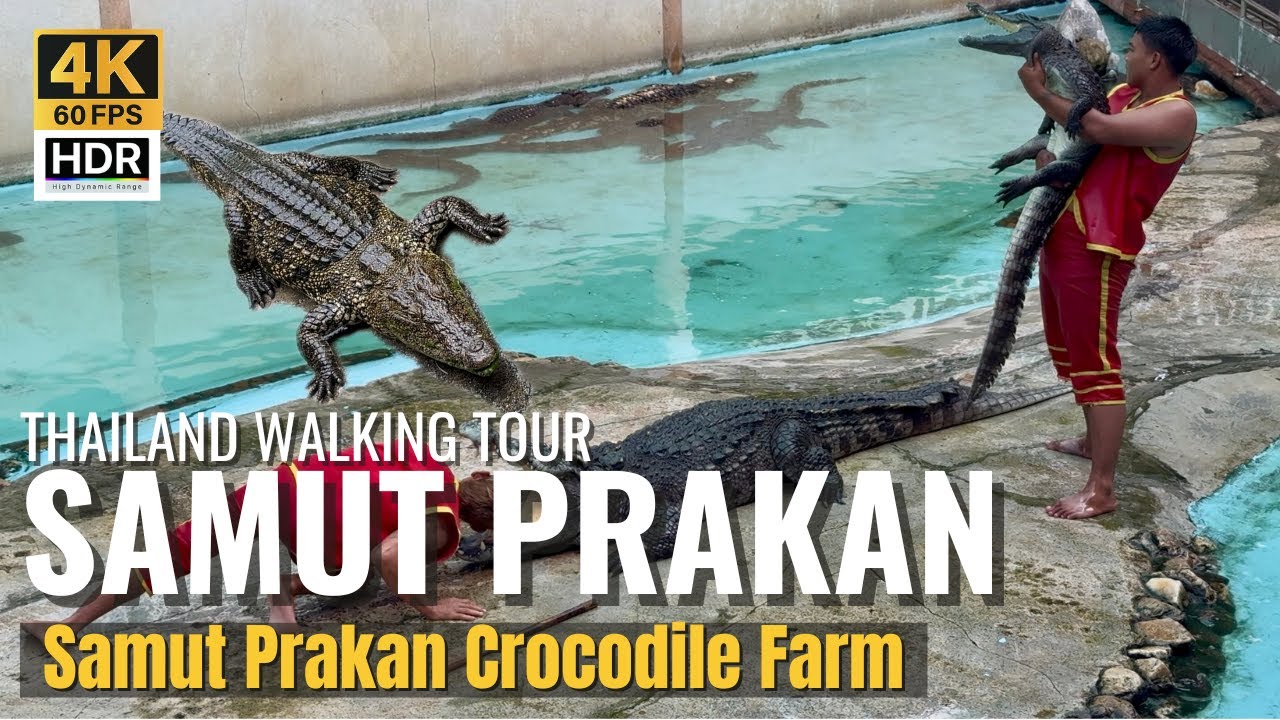 [SAMUT PRAKAN] Samut Prakan Crocodile Farm 