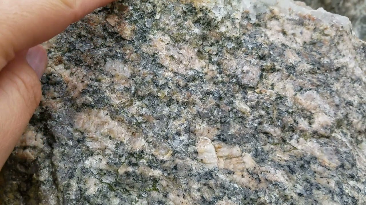 Michigan's amazing migmatites!