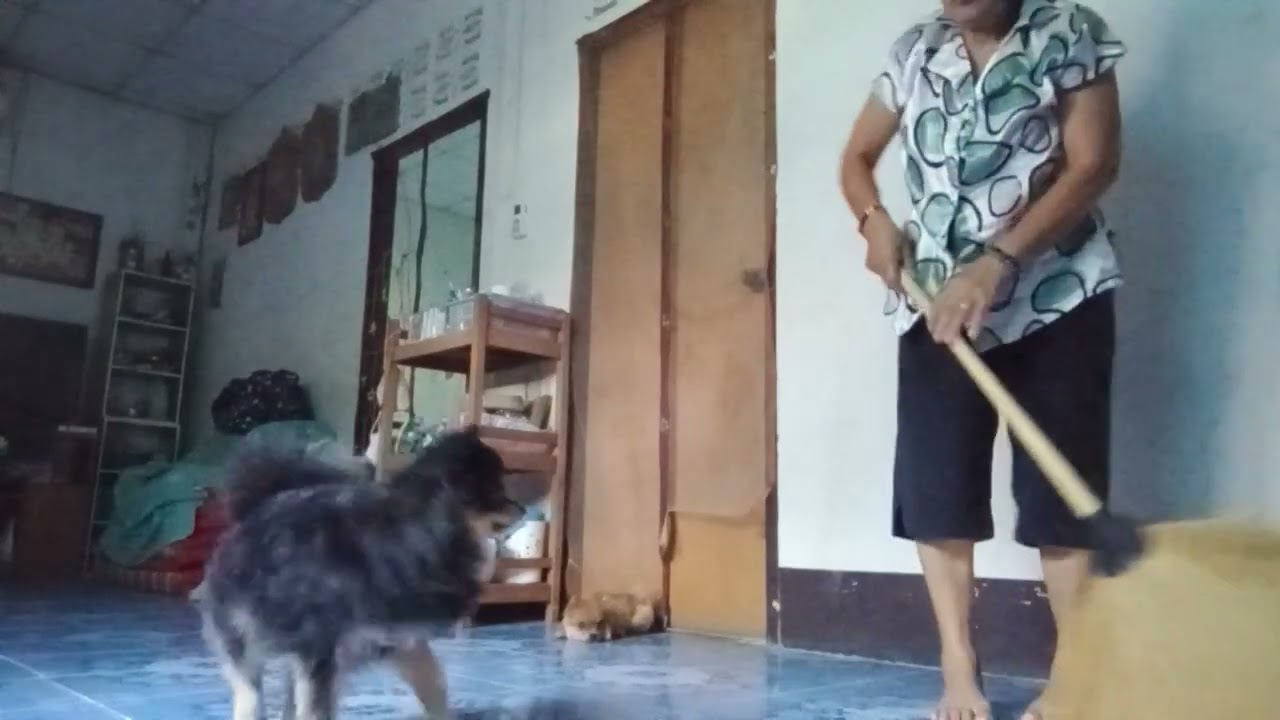 16 มีนาคม ค.ศ. 2026