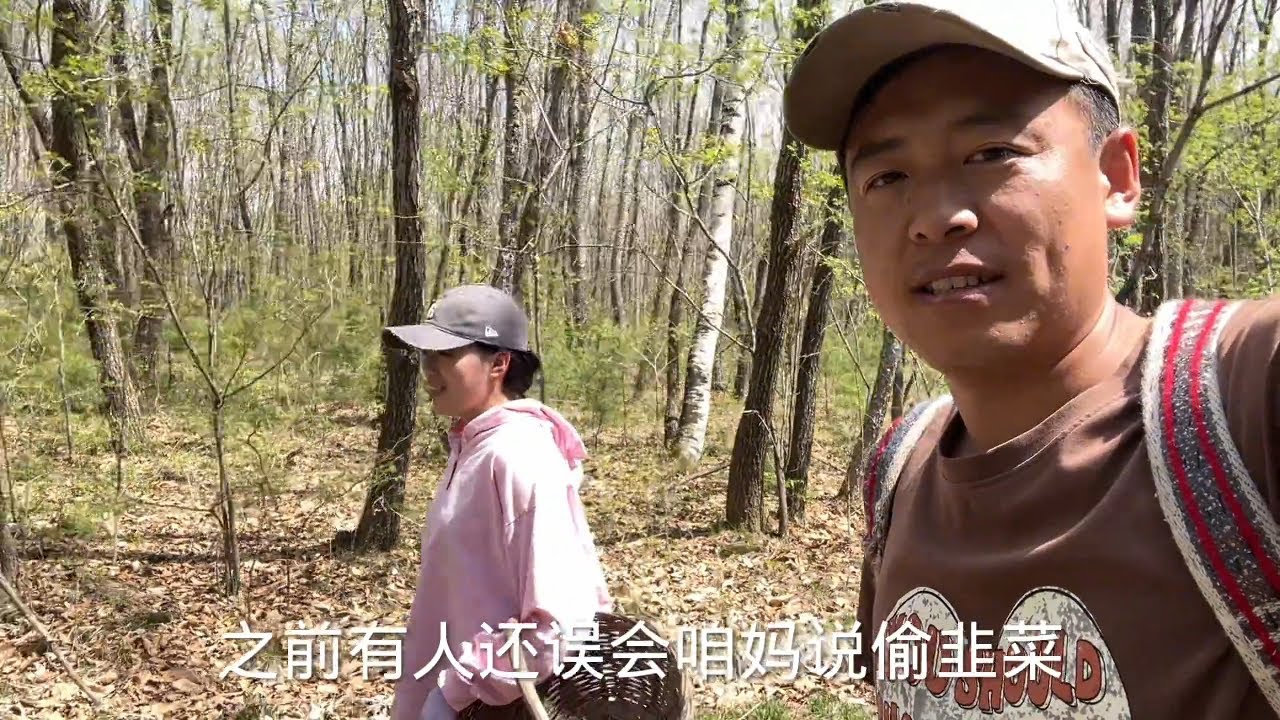二条两口子赚大了？遍地高档野菜采不过来，分分钟满筐这回过瘾了